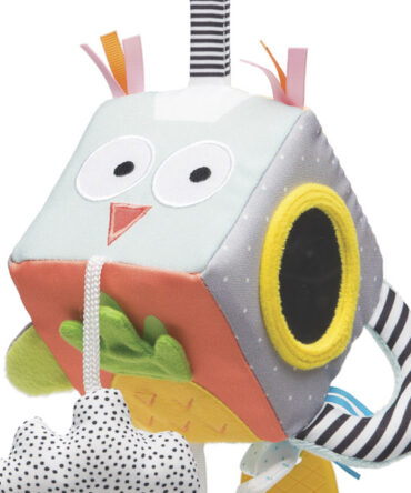 Cubo de desarrollo Taf Toy