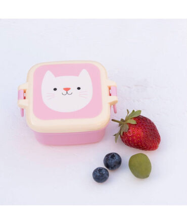 Mini Cajita Cookie the cat