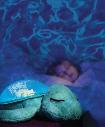 Cloud B Tortuga tranquila agua