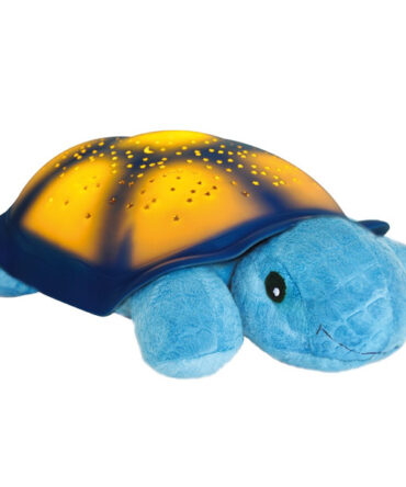 Tortuga twilight blue