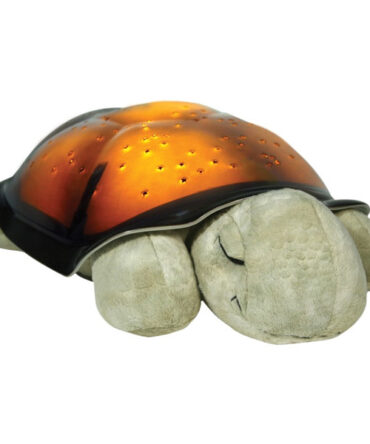 Turtle twilight classic