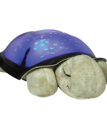 Turtle twilight classic