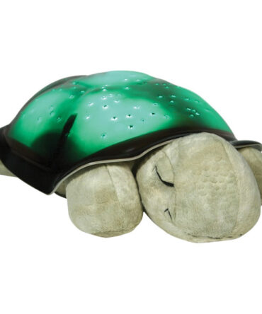 Turtle twilight classic