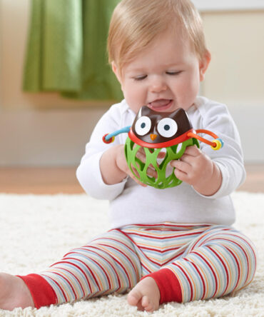 Skip Hop juguete agarra Owl