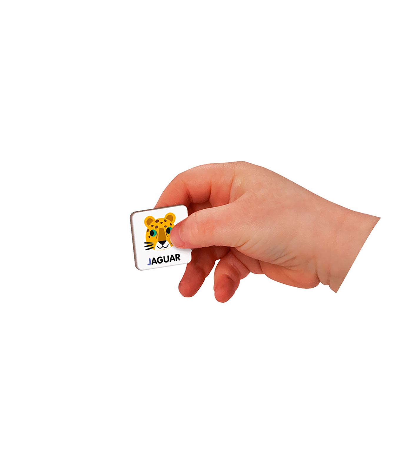 Magnetibook alfabeto en inglés - Imagen 4