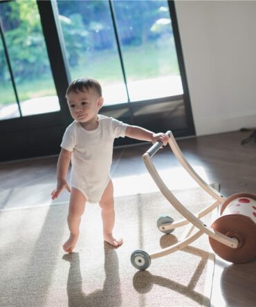 Roll and Walk Plan Toys