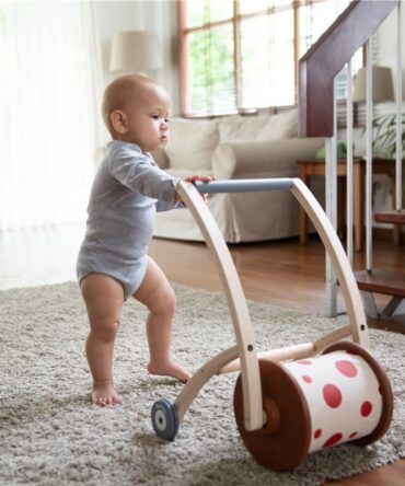 Roll and Walk Plan Toys