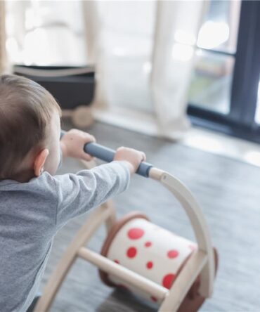 Roll and Walk Plan Toys