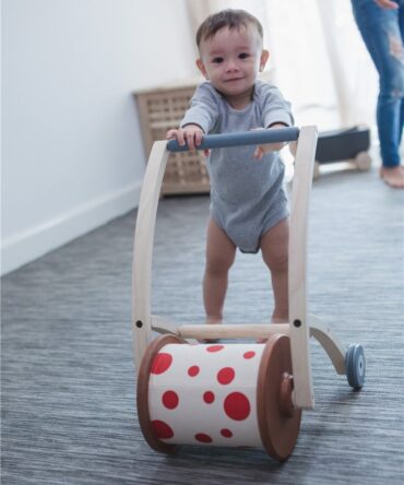 Roll and Walk Plan Toys