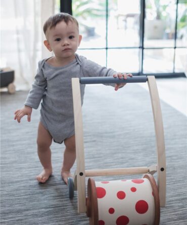 Roll and Walk Plan Toys