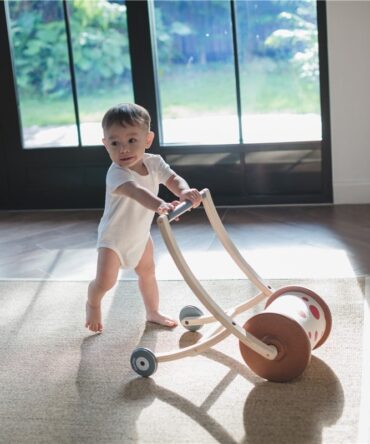 Roll and Walk Plan Toys
