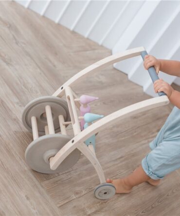 Andador pájaro carpintero Plan Toys