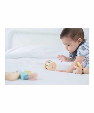 Roller pastel Plan Toys