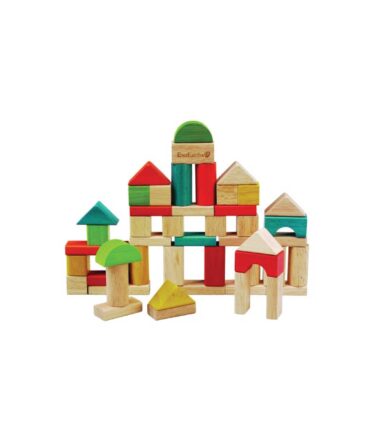 EverEarth Bloques de construcción 50 piezas