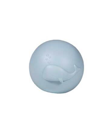 Set de pelotas y cubos ocean Little Dutch