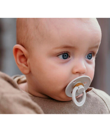 Pack 2 Chupetes BIBS Haze/Blossom