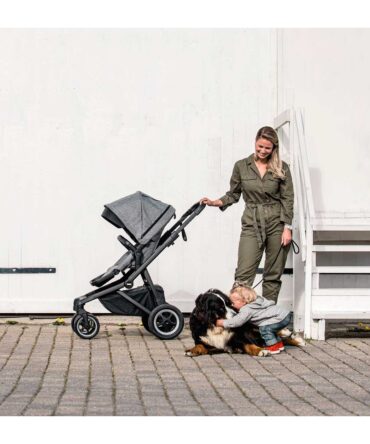 Carrito Thule Sleek + capazo