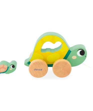 Janod Box 18 meses